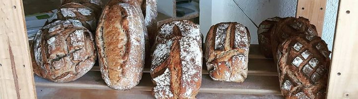 Fournil les enfants du levain